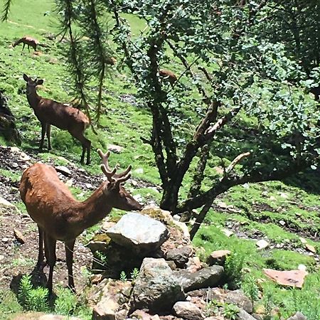 ميتزانا B/B La Locanda Delle Pulci المظهر الخارجي الصورة